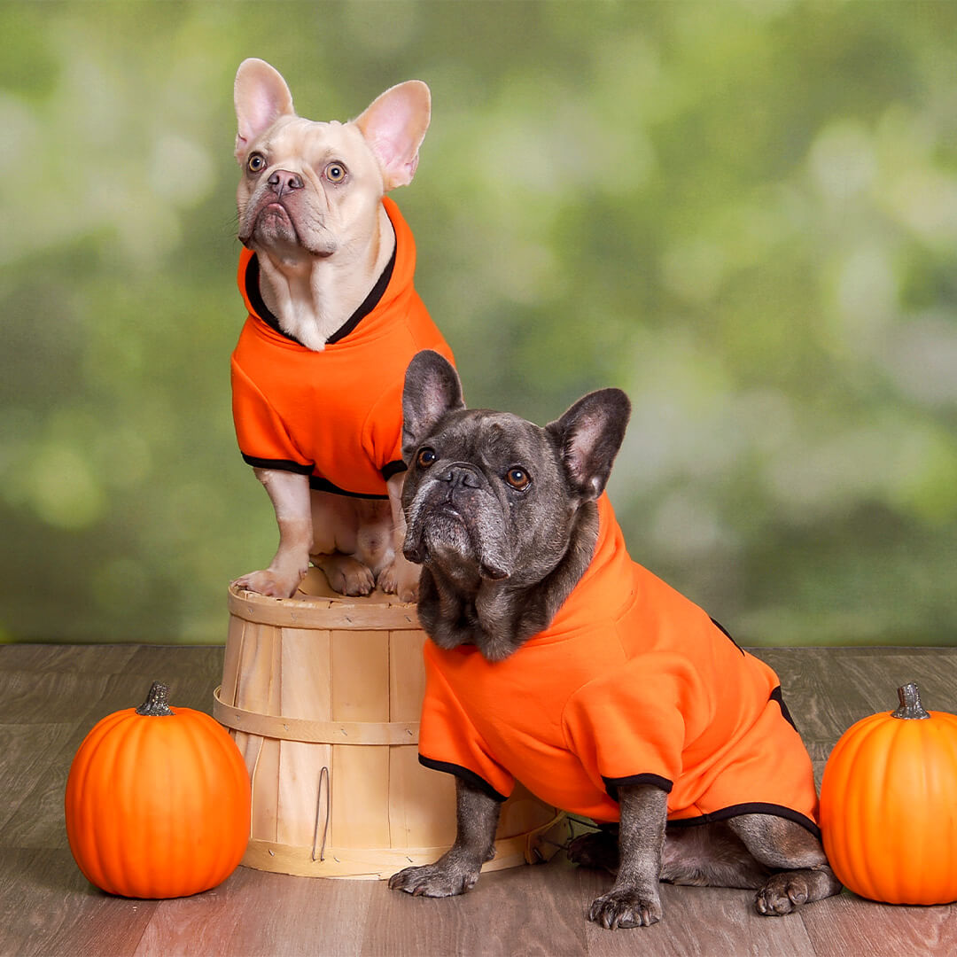 Halloween-Gallery 3-1080x1080