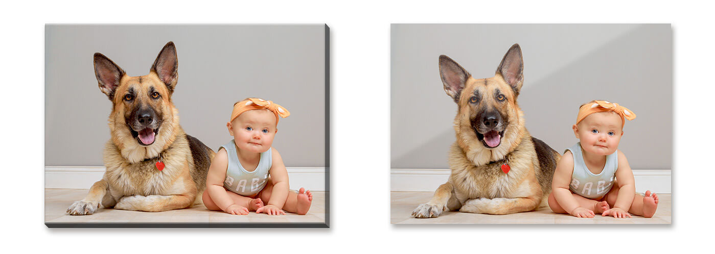 Canvas & Metal print wall art featuring photography taken at JCPenney Portraits Studio.