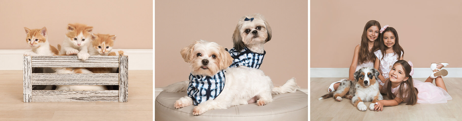 Collage of pet photos taken during a pet photoshoot at JCPenney Portraits.