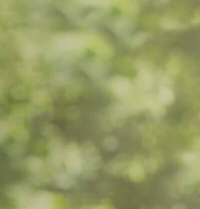 Outdoor Bokeh background at JCPenney Portraits