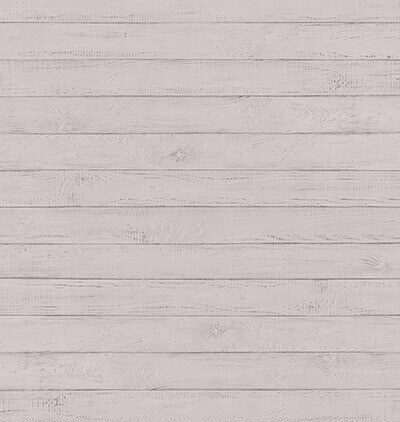 Brushed Pines background at JCPenney Portraits