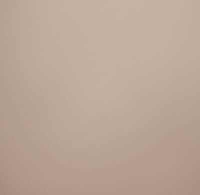 Latte background at JCPenney Portraits