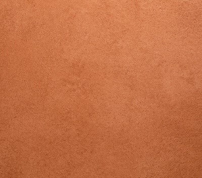 Sienna mini background at JCPenney Portraits