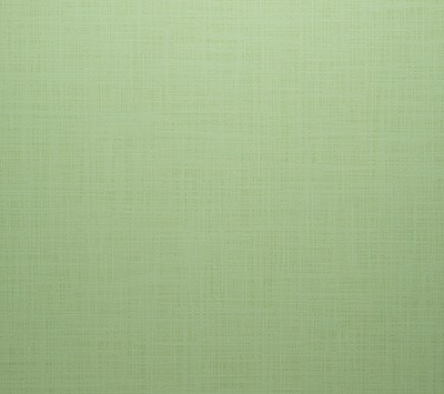 Willow mini background at JCPenney Portraits